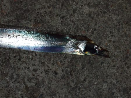 渋かった・・・。