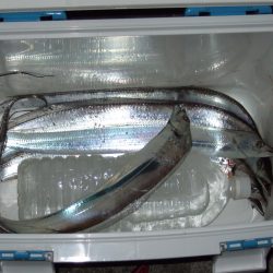 3連ちゃんです(^_^;)