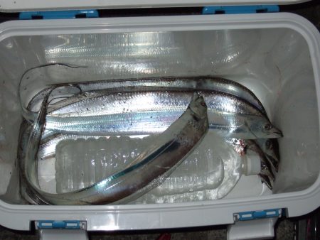 3連ちゃんです(^_^;)