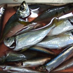 短時間の銀ピカ。