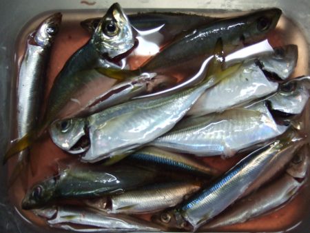 短時間の銀ピカ。