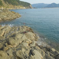 磯のヤエンでアオリイカ狙い!?