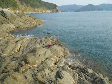 磯のヤエンでアオリイカ狙い!?