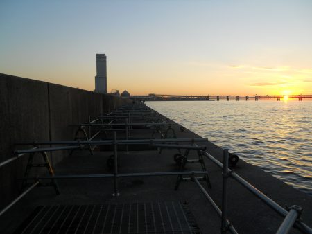 夕方~太刀魚のウキ釣り