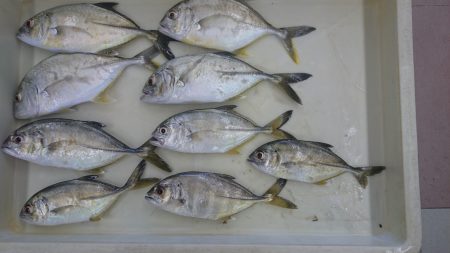 メキメキ、メッキーズ！