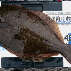 秋のターゲット好調♪