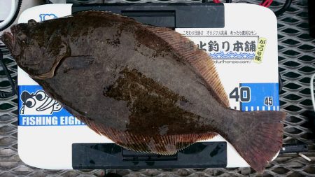 秋のターゲット好調♪