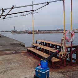 またまたサゴシ！