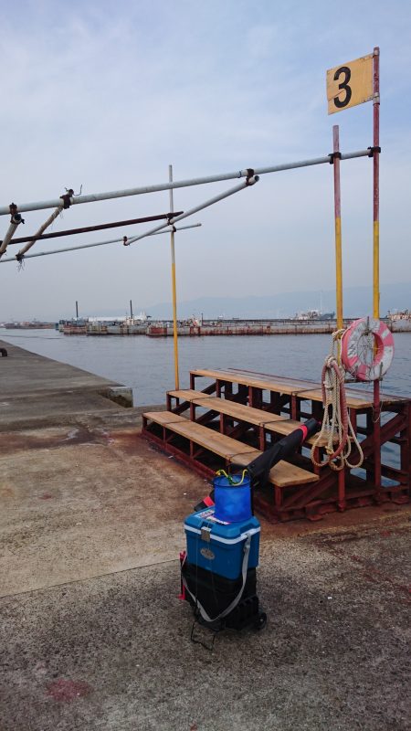 またまたサゴシ！