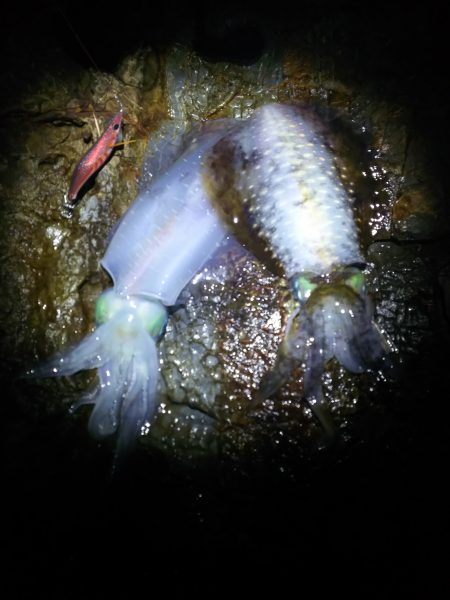 無風からの爆風