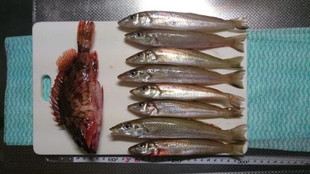 ジギング改めまして投げ釣り