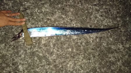 ワインドで太刀魚入れ食い！