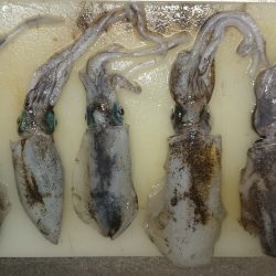 爆弾低気圧の影響大