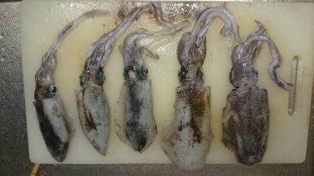 爆弾低気圧の影響大