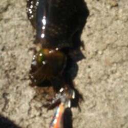 今日は休みか？