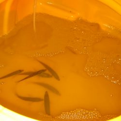 海上釣り堀活エサ確保が使命、ってことでサビキ釣り♪食コン