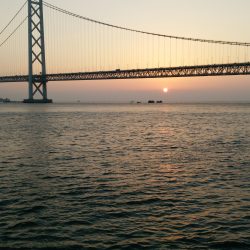 久々のエギングでアオリさんゲット