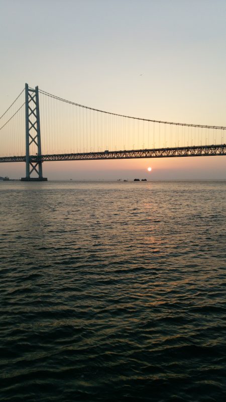 久々のエギングでアオリさんゲット