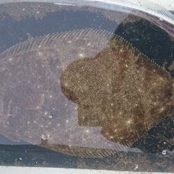 2回目のサーフジギング‼