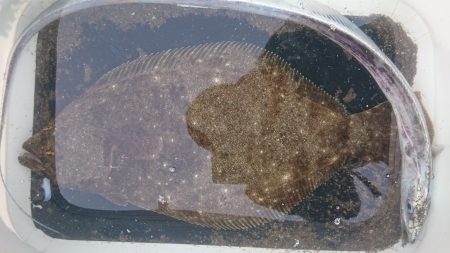 2回目のサーフジギング‼