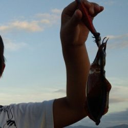 夕まずめラッシュ！！