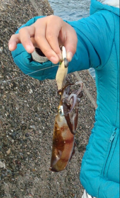 朝マズメラッシュ！！