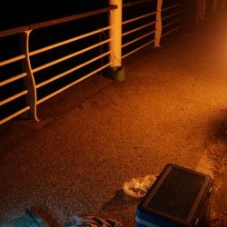 浮き釣りでタチウオ