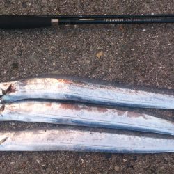 短時間ワインドで