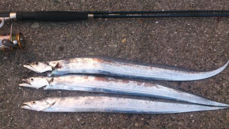 短時間ワインドで