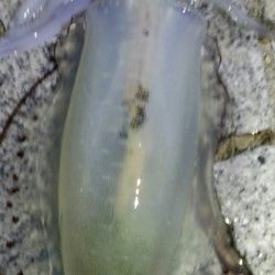 大人の夜遊び！！