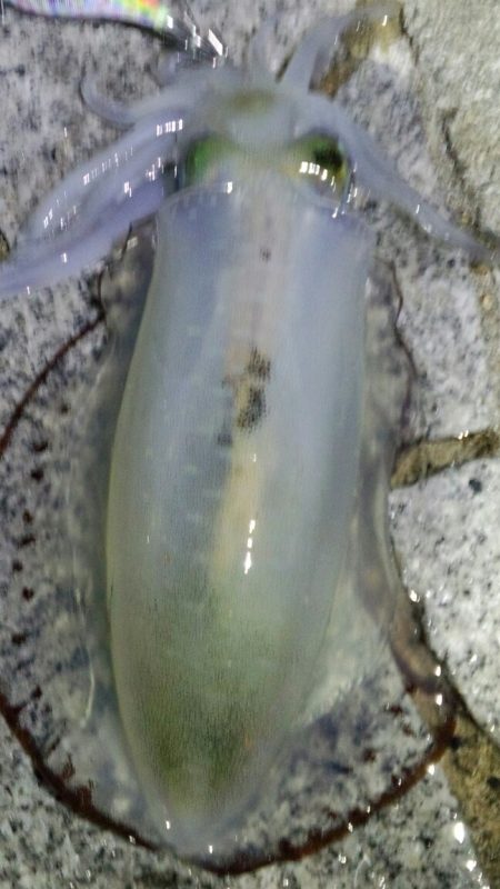 大人の夜遊び！！