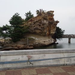 久しぶりのエギングのはずが~