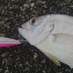 出てこい俺の友達！E.S.O