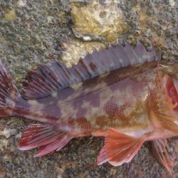 ポカポカ陽気にのんびり