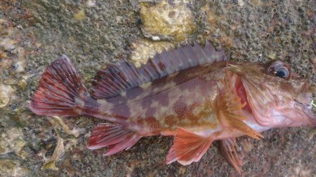ポカポカ陽気にのんびり
