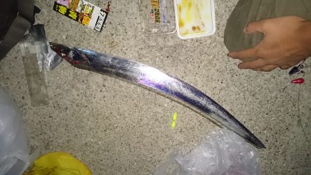 ２年ぶりのタチウオ釣行