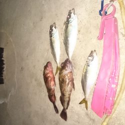 三連休デスネ～