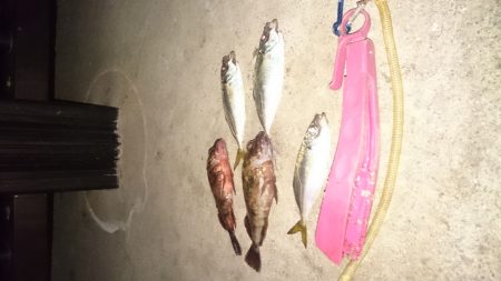 三連休デスネ～