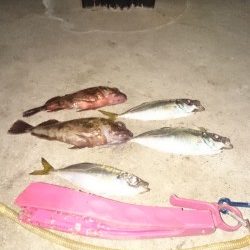 三連休デスネ～