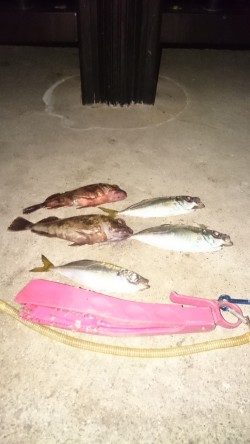 三連休デスネ～