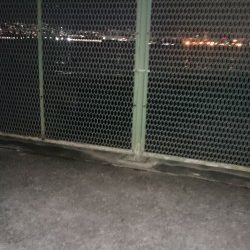 アジが沢山釣れました