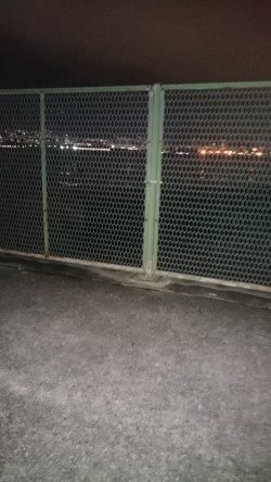 アジが沢山釣れました