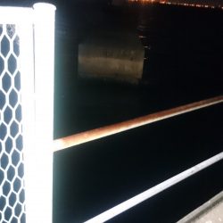 夕まづめは食欲旺盛