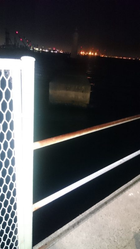 夕まづめは食欲旺盛