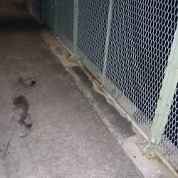 かなり寒くなりました