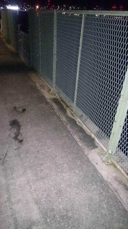 かなり寒くなりました