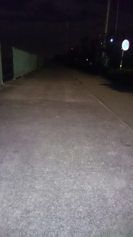 アジングは好調です