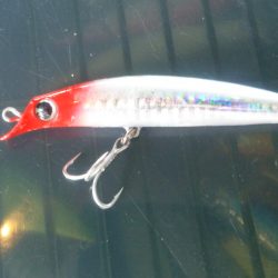 サヨリを食べて