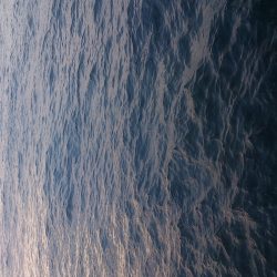 そろそろメバルの始まり?