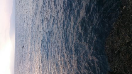 そろそろメバルの始まり?